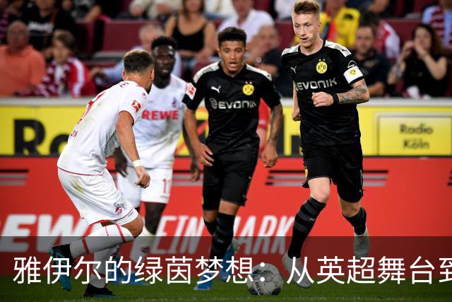 雅伊尔的绿茵梦想：从英超舞台到国家队的华丽转身